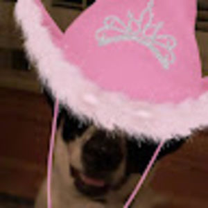 Meet your Posher, Lola